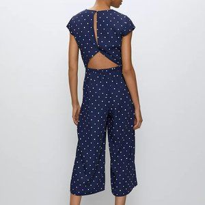Aritzia Babaton Hamptons Jumpsuit